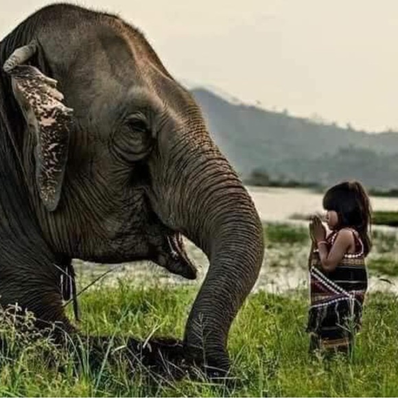 Jewelry - Worth sharing🌿